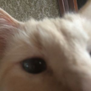 Meet your Posher, Kimberley